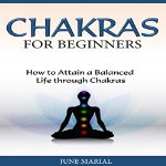Chakras-for-Beginners