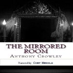The-Mirrored-Room