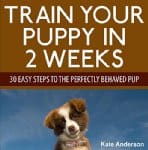 Train-Your-Puppy-in-2-Weeks