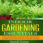 Indoor-Gardening-Essentials-Herbs-and-Vegetables