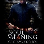 Soul-Meaning-Seventeen-Book-One