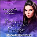 Protected-by-the-Falcon
