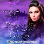 Protected-by-the-Falcon