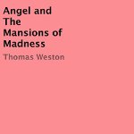 Angel-and-the-Mansions-of-Madness