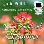 An-Indian-Paintbrush-Summer