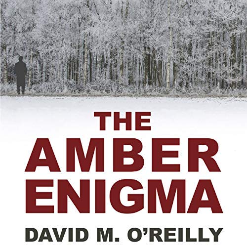 The-Amber-Enigma