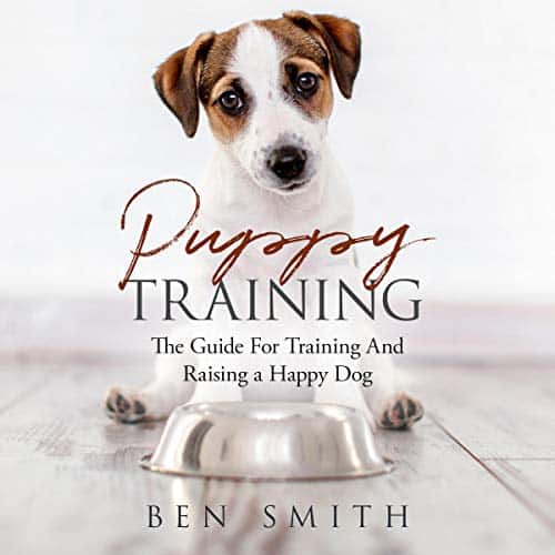 Puppy-Training