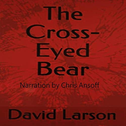 The-Cross-Eyed-Bear