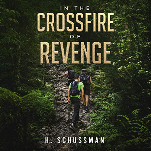 In-the-Crossfire-of-Revenge