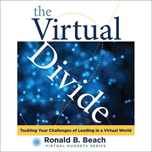 The-Virtual-Divide