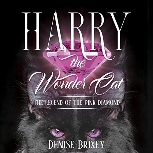 Harry-the-Wonder-Cat