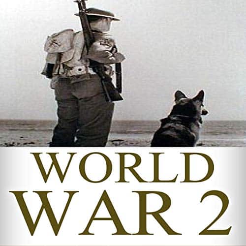 World-War-2-Soldier-Stories
