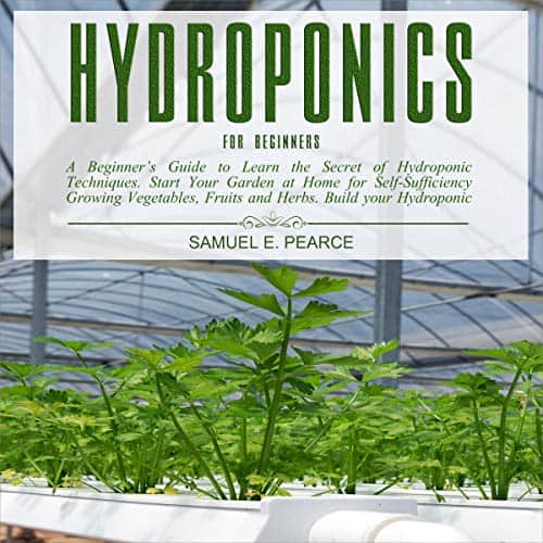 Hydroponics-for-Beginners