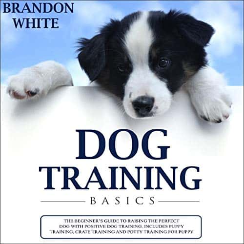 Dog-Training-Basics