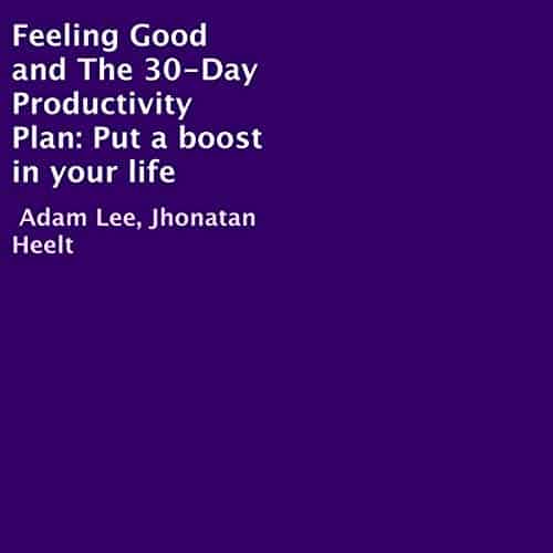 Feeling-Good-and-The-30-Day-Productivity-Plan