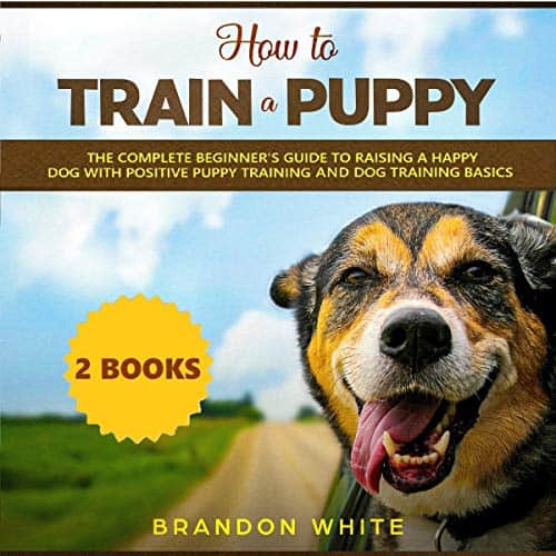 How-to-Train-a-Puppy-2-Books