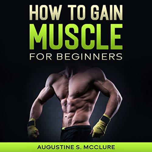 How-to-Gain-Muscle-For-Beginners