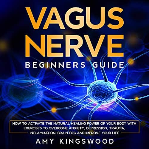 Vagus-Nerve-Beginners-Guide-How-to-Activate-the-Natural-Healing-Power