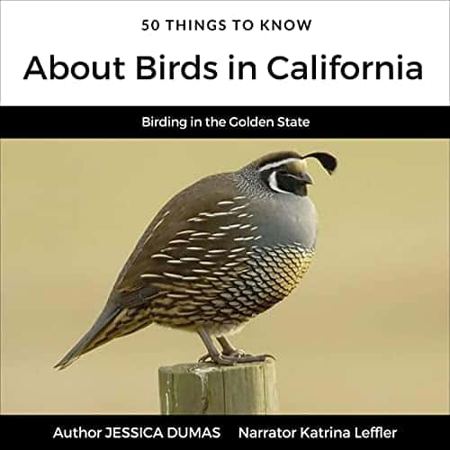 50-Things-to-Know-About-Birds-in-California-Birding-in-the-Golden-State