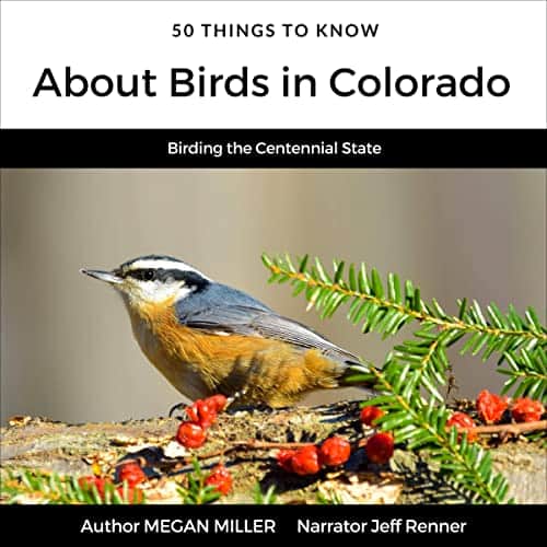 50-Things-to-Know-About-Birds-in-Colorado
