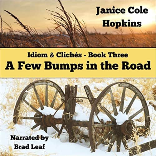 A-Few-Bumps-in-the-Road-Idioms-Cliches-Book-3