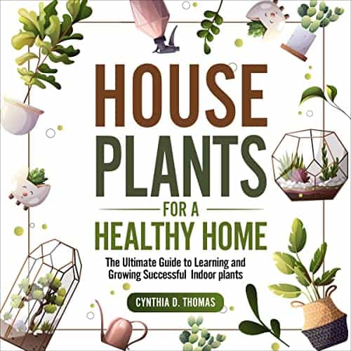 Houseplants-for-a-Healthy-Home