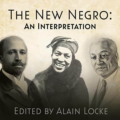 The-New-Negro-An-Interpretation
