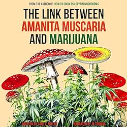 The-Link-Between-Amanita-Muscaria-and-Marijuana